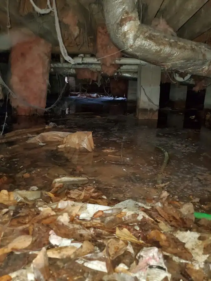 Crawl space flood assessment for Leak Detection & Repair in Winnemucca